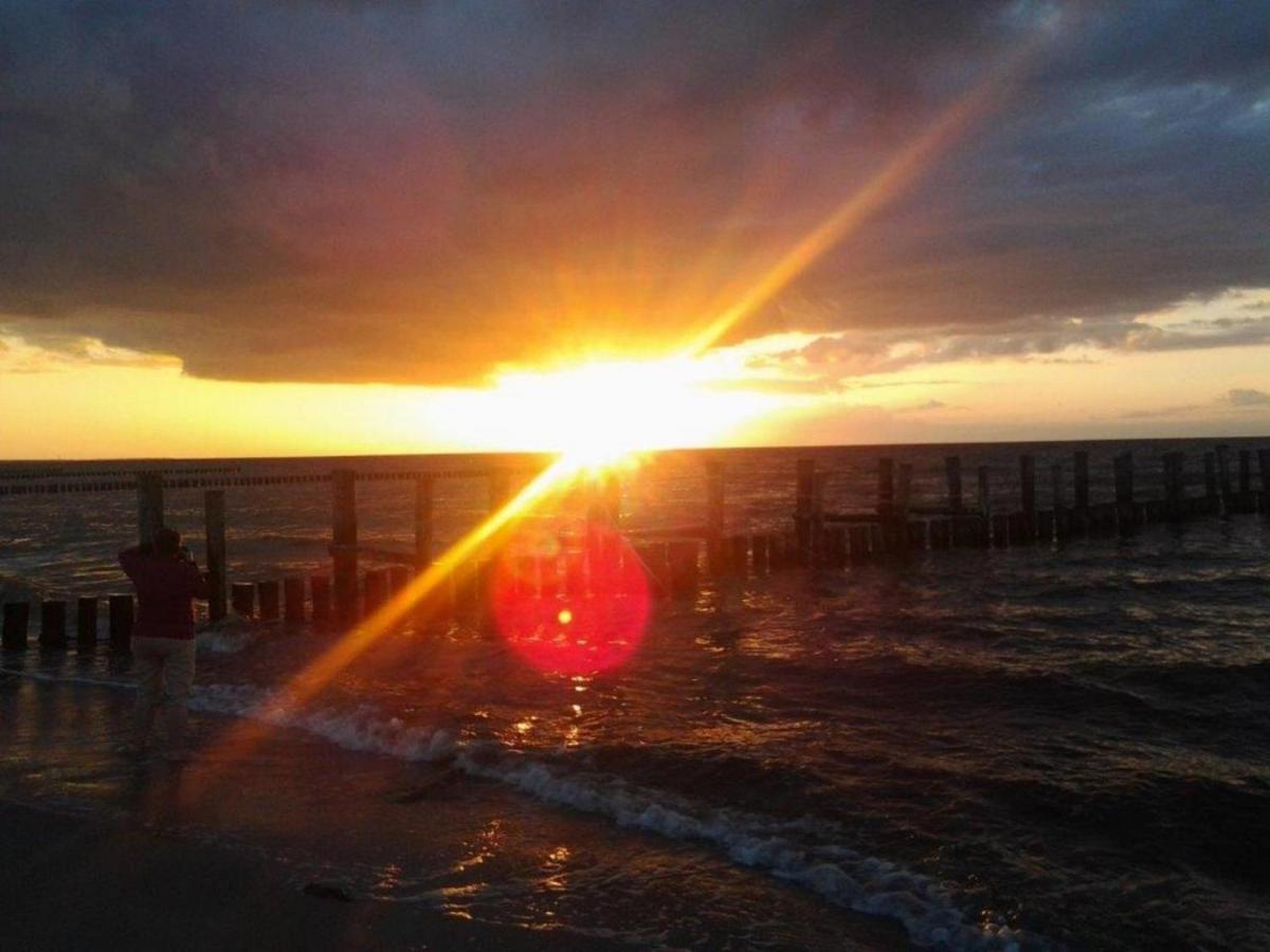 Residenz Am Strand Wohnung 2-43 Zingst Εξωτερικό φωτογραφία